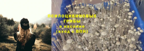 альфа пвп Медвежьегорск