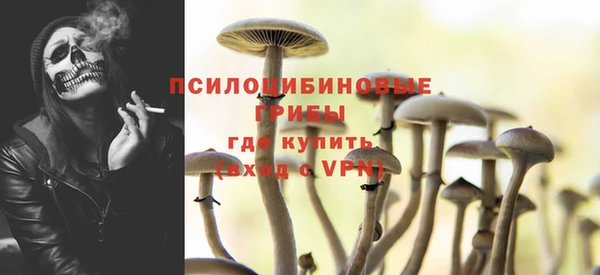 PSILOCYBIN Елабуга