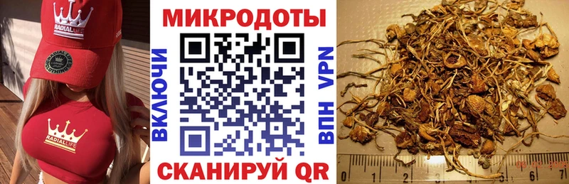 Псилоцибиновые грибы мухоморы  Нюрба 