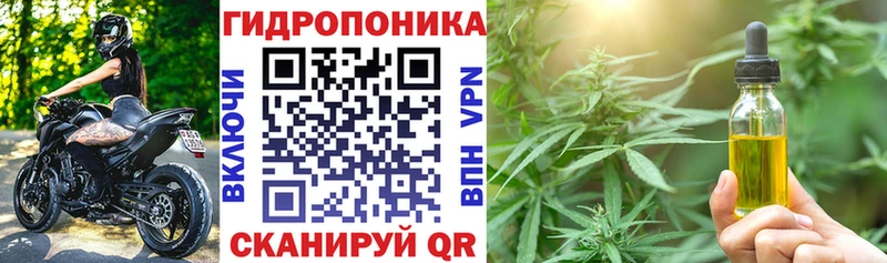 omg ТОР  Нюрба  Шишки марихуана гибрид 